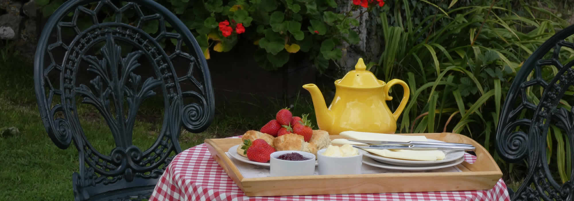 Guests in Honeysuckle Cottage can enjoy a private garden with far reaching views to Brentor Church